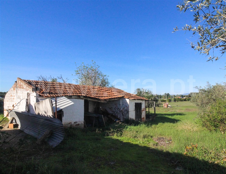 Moradia  Chamusca, Carregueira - 1242208 - 40