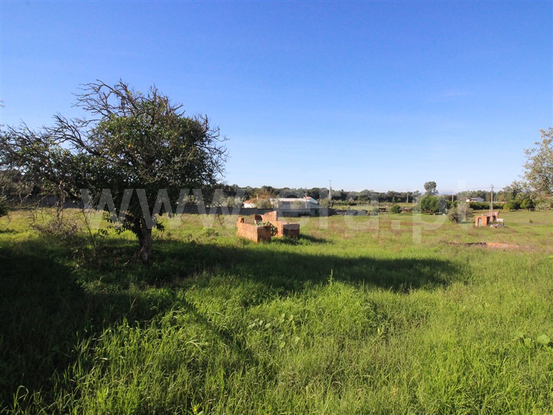 Moradia  Chamusca, Carregueira - 1242208 - 43