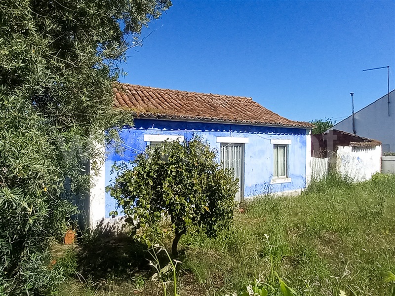 Moradia / Chamusca, Carregueira