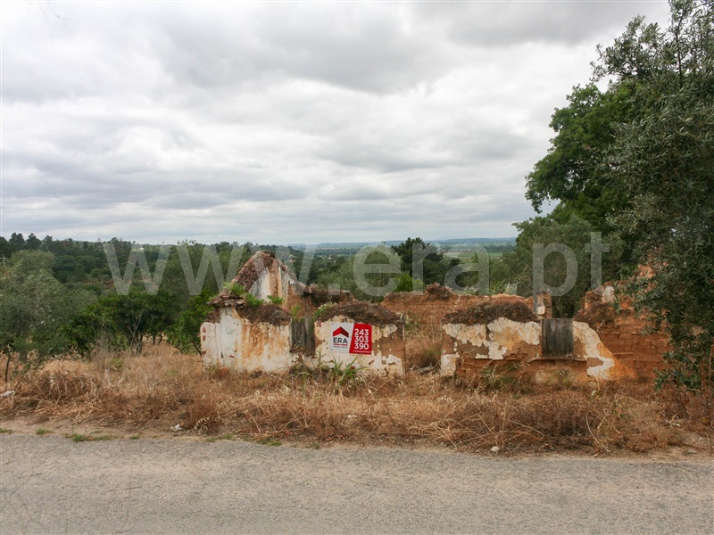 Moradia / Chamusca, Carregueira
