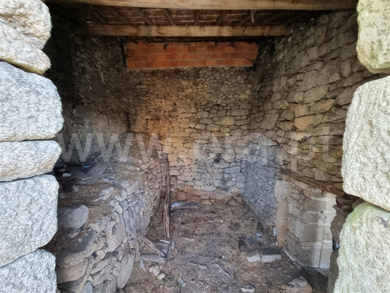 Casa Senhorial  Chaves, Santa Leocádia - 1315294 - 8