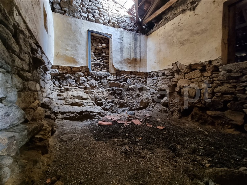 Casa Senhorial  Chaves, Santa Leocádia - 1315294 - 10