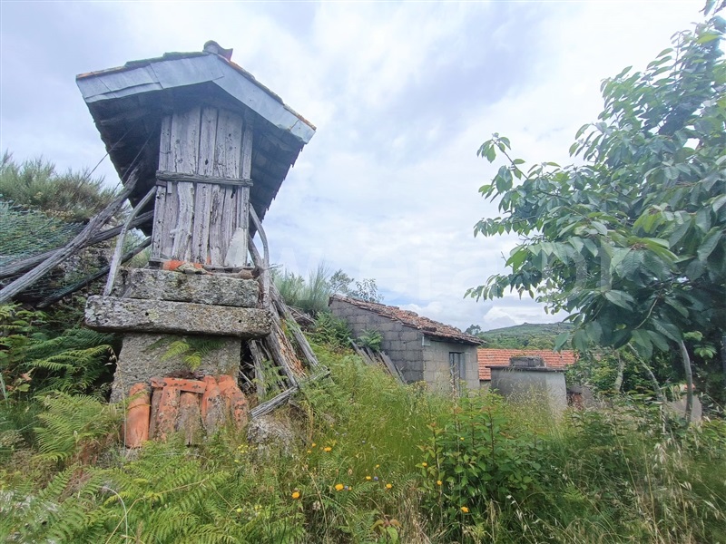 Moradia  Cinfães, Ferreiros de Tendais - 1336577 - 1