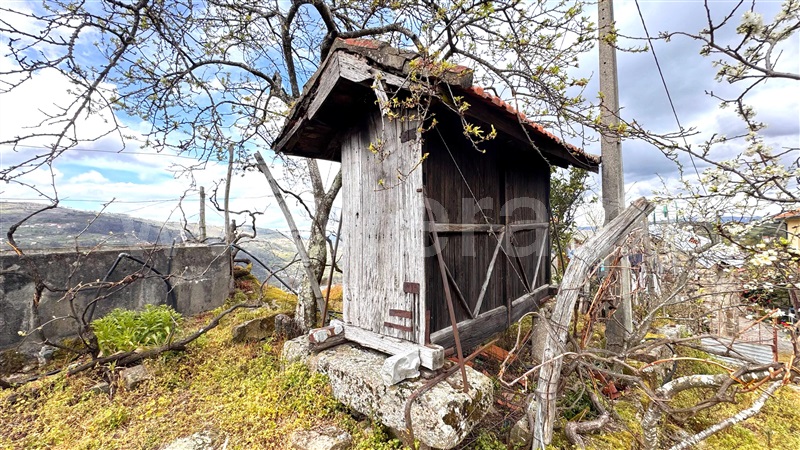 Moradia  Cinfães, Ferreiros de Tendais - 1473429 - 5