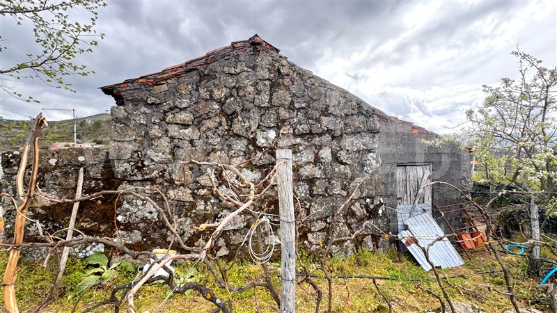Moradia  Cinfães, Ferreiros de Tendais - 1473429 - 8
