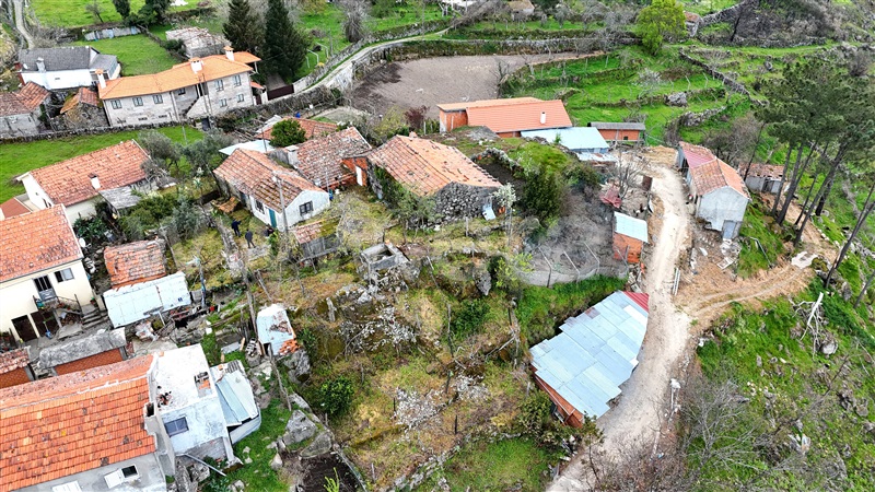 Moradia  Cinfães, Ferreiros de Tendais - 1473429 - 14