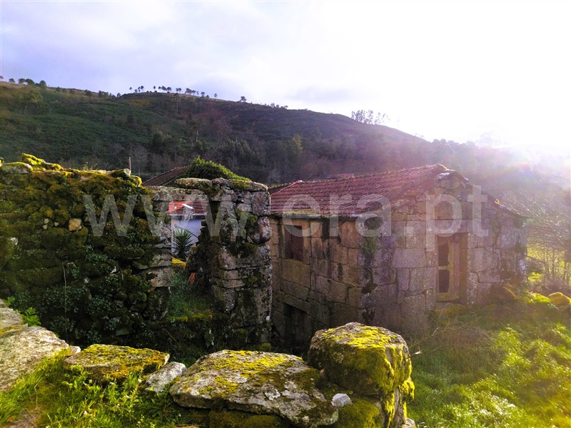Moradia  Cinfães, Santiago de Piães - 1389163 - 2