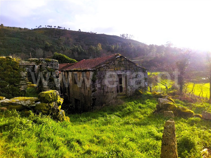 Moradia / Cinfães, Santiago de Piães