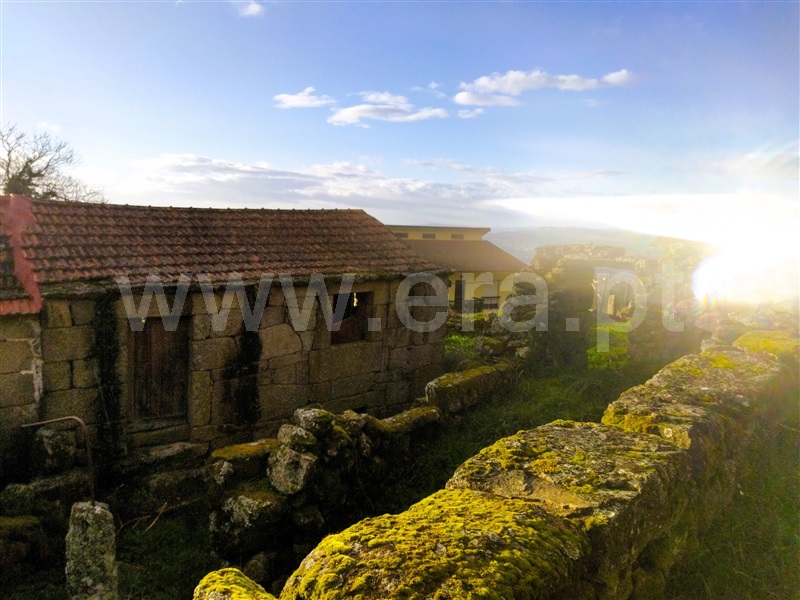 Moradia  Cinfães, Santiago de Piães - 1389163 - 4