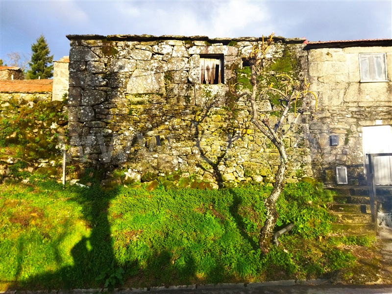 Moradia  Cinfães, Santiago de Piães - 1389163 - 5