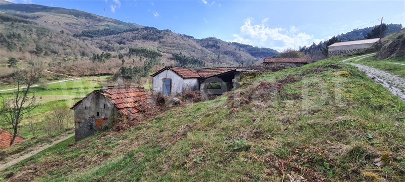Moradia  Cinfães, Santiago de Piães - 1392643 - 1