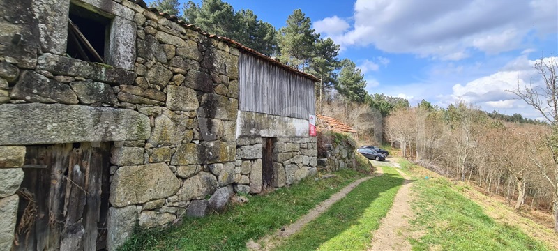 Moradia  Cinfães, Santiago de Piães - 1392643 - 4