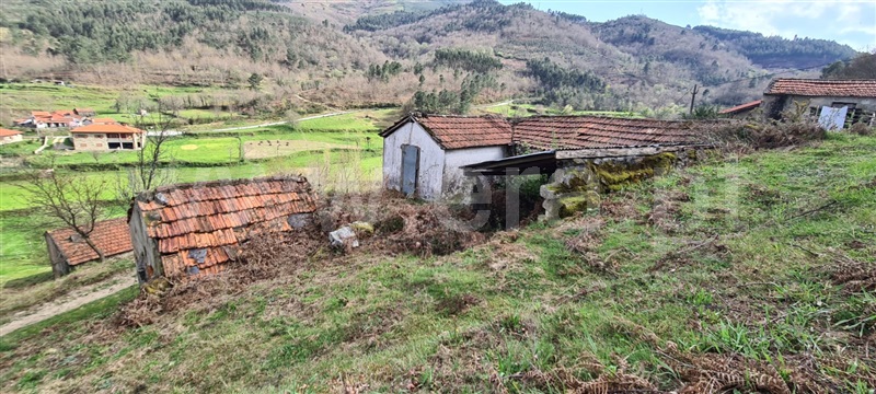 Moradia  Cinfães, Santiago de Piães - 1392643 - 6