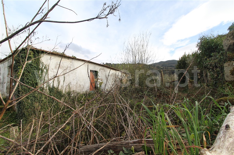 Moradia à venda em São Cristóvão de Nogueira, Cinfães — foto 4