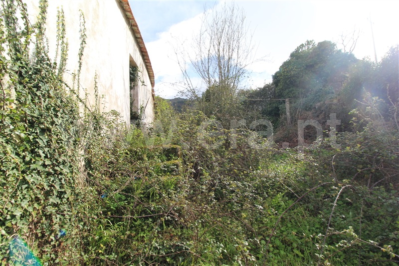 Moradia à venda em São Cristóvão de Nogueira, Cinfães — foto 5