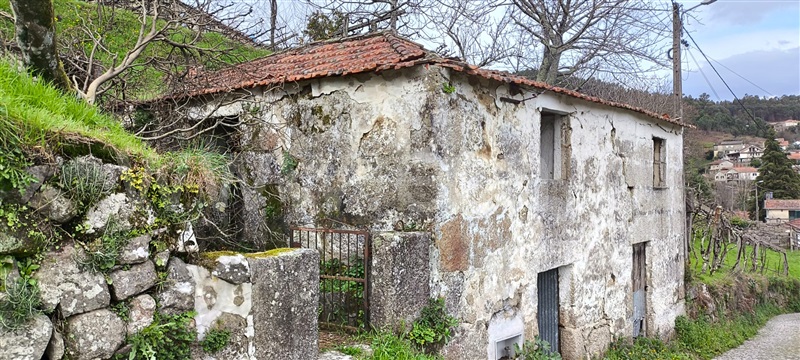 Terreno com ruina  Cinfães, Souselo - 1466201 - 2