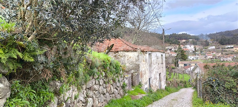 Terreno com ruina  Cinfães, Souselo - 1466201 - 4