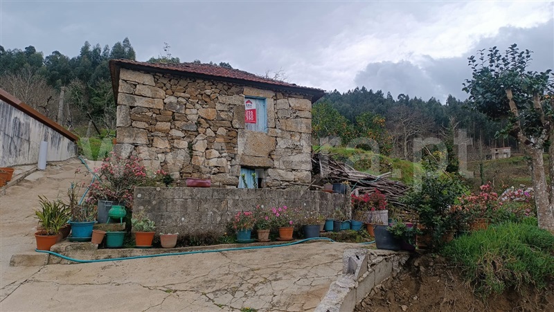 Moradia / Cinfães, Travanca