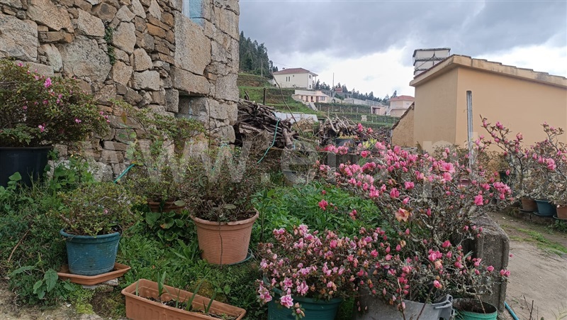 Moradia  Cinfães, Travanca - 1164080 - 16