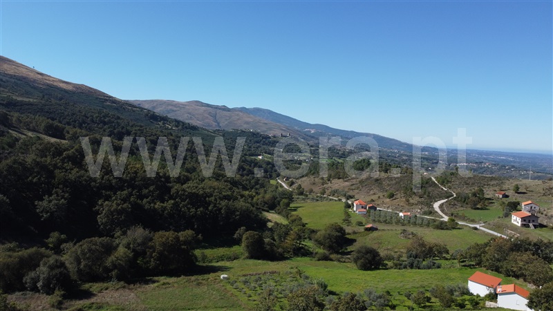 Moradia em Banda  Celorico da Beira, - 1351599 - 12