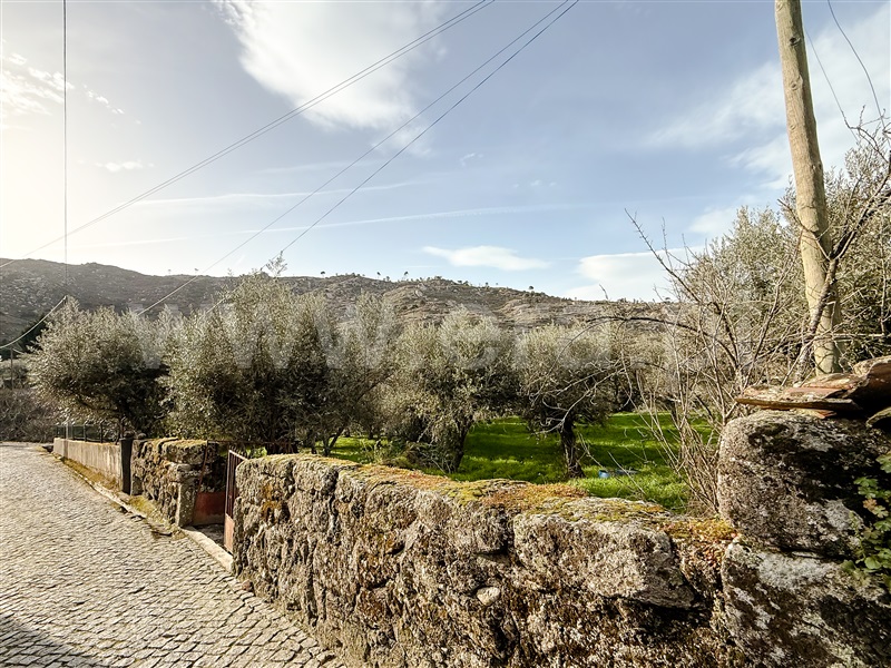 Moradia à venda em Vila Cortês do Mondego, Guarda — foto 13