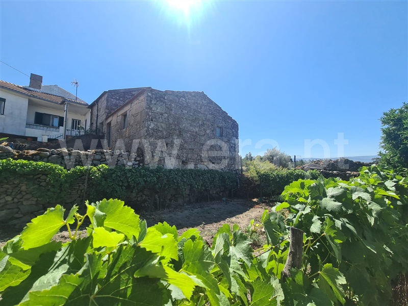 Moradia em Banda  Mangualde, Santiago de Cassurrães e Póvoa de Cervães - 1486394 - 3