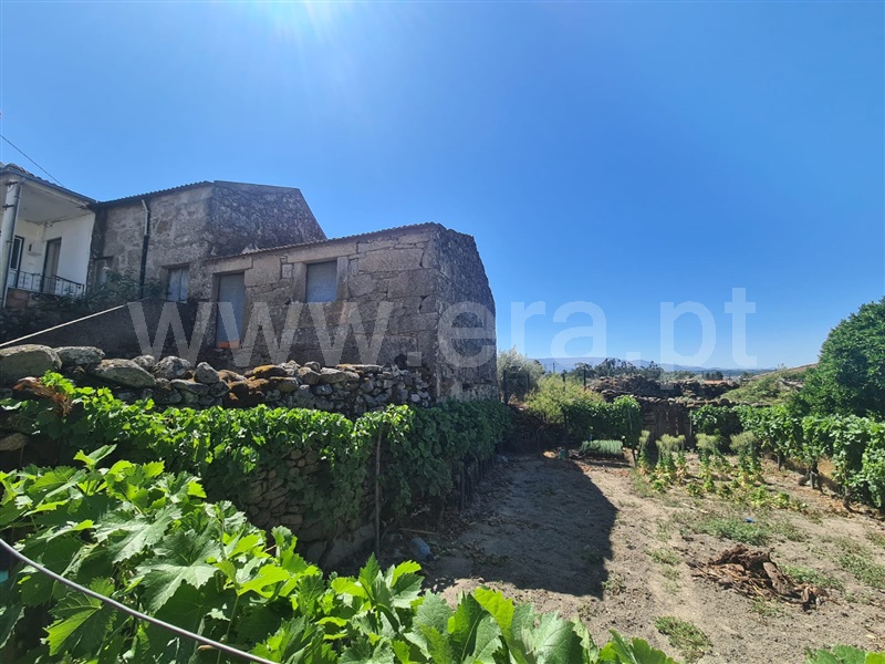 Moradia em Banda  Mangualde, Santiago de Cassurrães e Póvoa de Cervães - 1486394 - 4