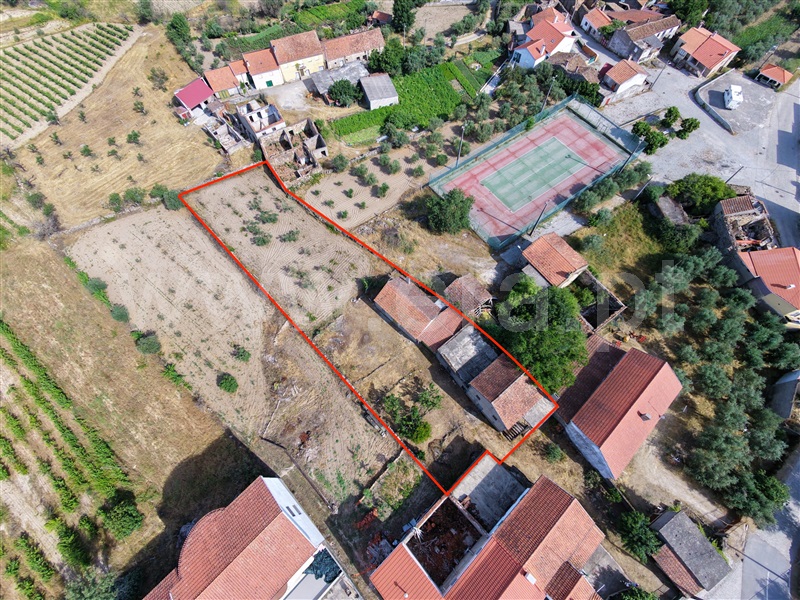 Moradia em Banda / Pinhel, Prados, Pinhel
