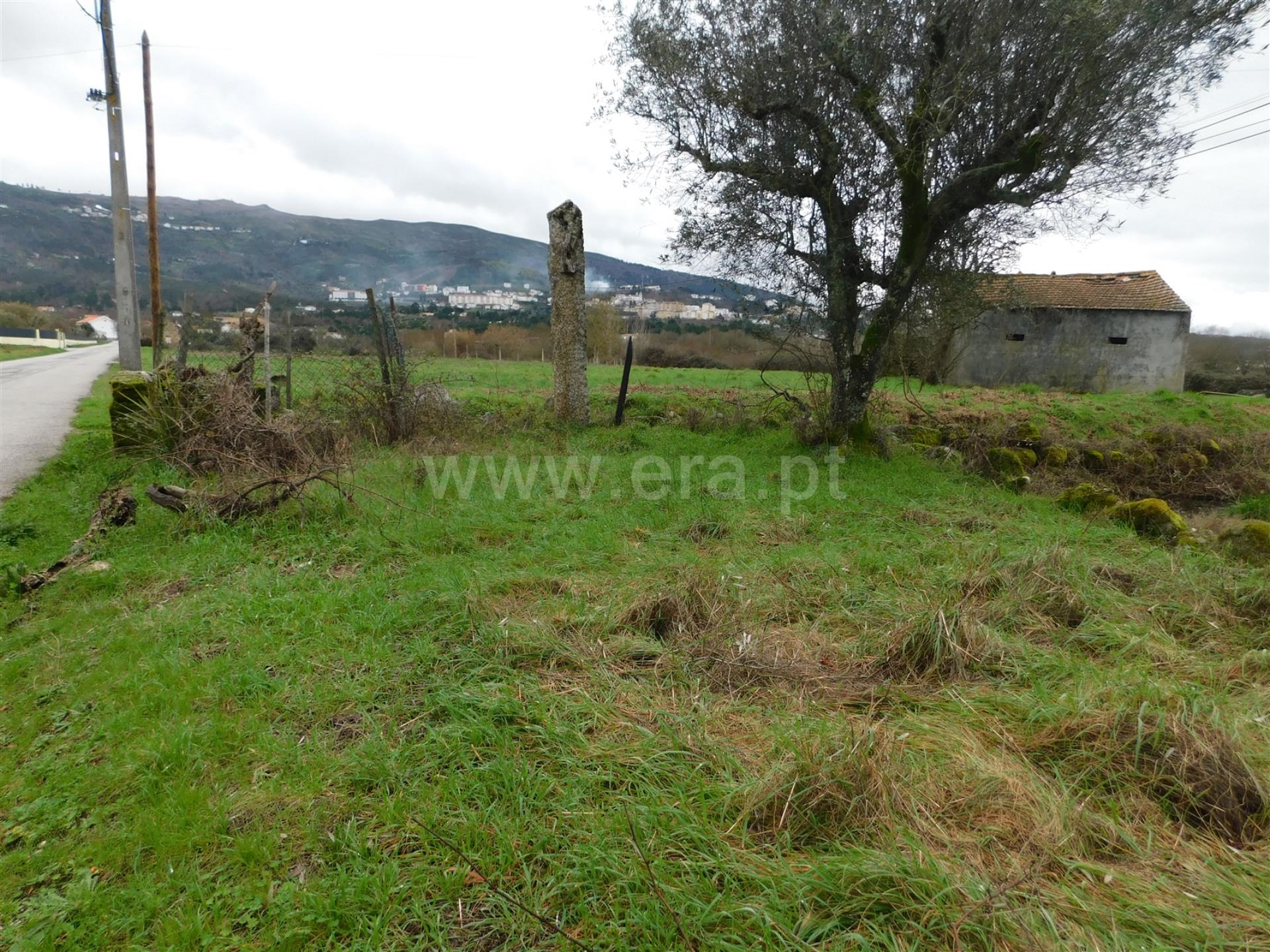 Terreno