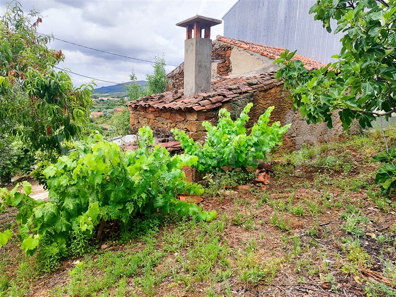 Moradia em Banda T1 Fundão, Souto da Casa - 1413592 - 15