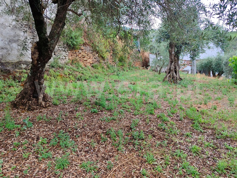 Moradia em Banda T1 Fundão, Souto da Casa - 1413592 - 16
