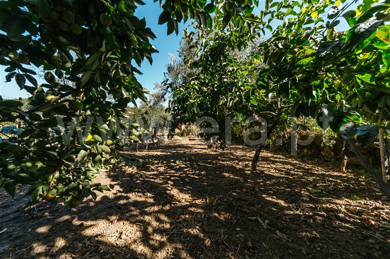 Moradia em Banda T2 Covilhã, Casegas - 1430532 - 11