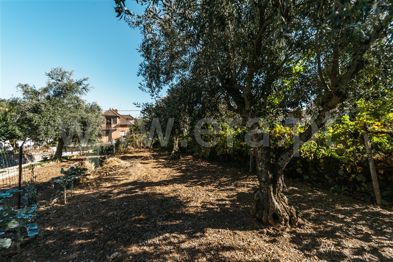 Moradia em Banda T2 Covilhã, Casegas - 1430532 - 12