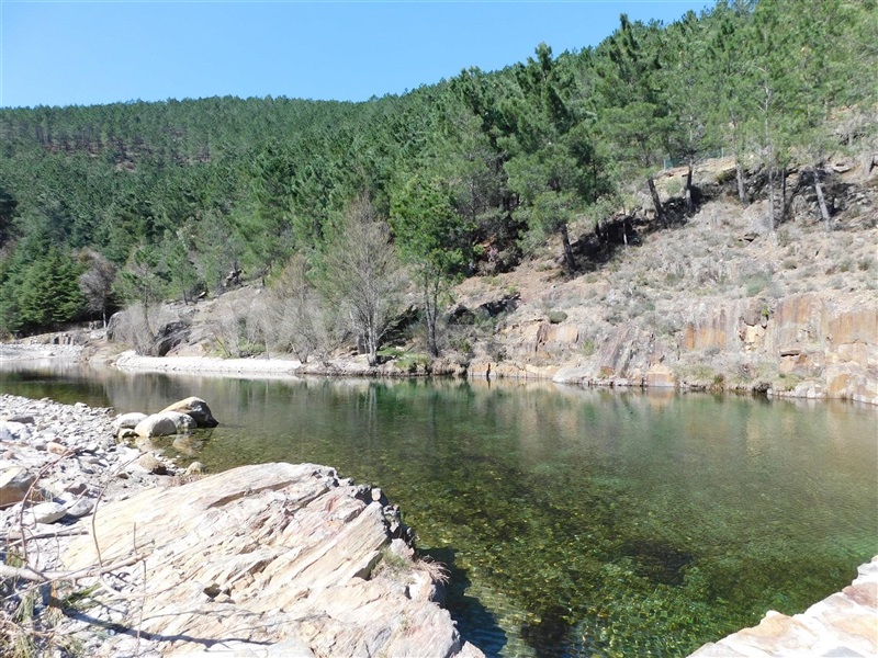 Moradia T2 à venda em Verdelhos, Covilhã — foto 18