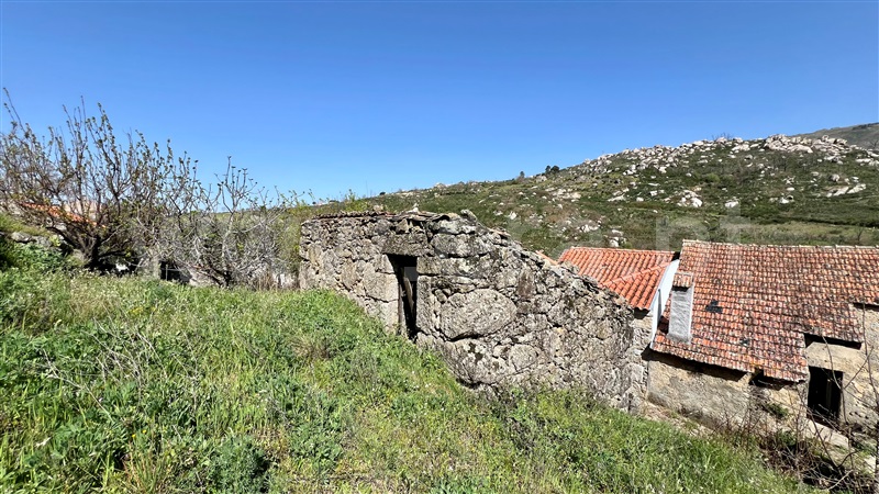 Moradia  Gouveia, Figueiró da Serra e Freixo da Serra - 1472552 - 16