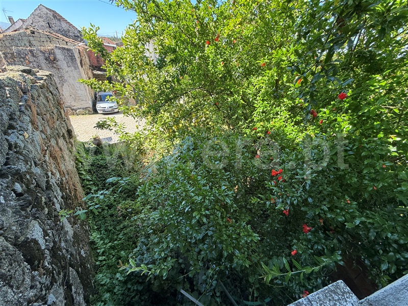 Moradia T2 à venda em Vila Franca da Beira, Oliveira do Hospital — foto 19
