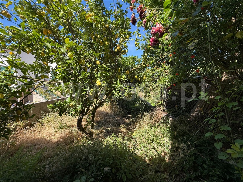 Moradia T2 à venda em Vila Franca da Beira, Oliveira do Hospital — foto 20