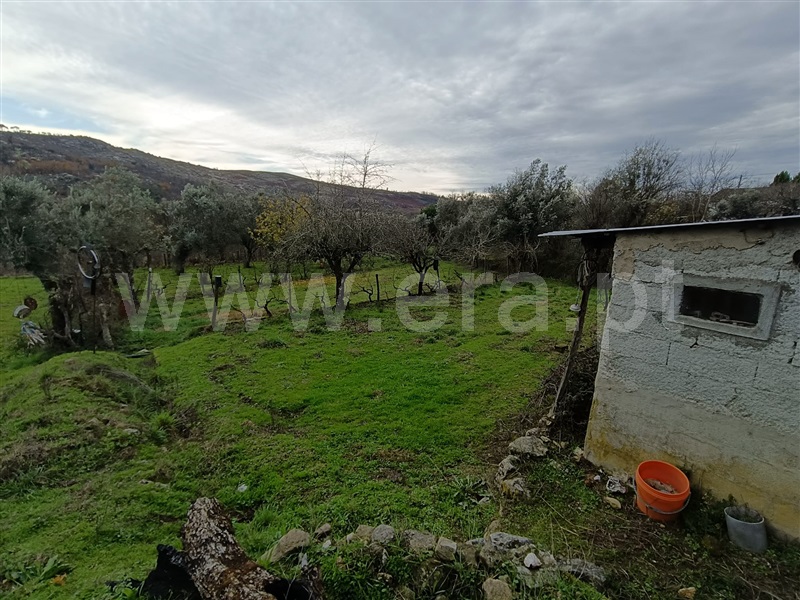 Moradia T2 à venda em Castelo de Penalva, Penalva do Castelo — foto 17