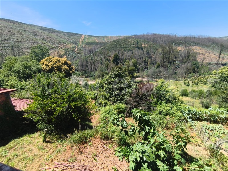 Moradia T2 à venda em Silva Escura, Sever do Vouga — foto 12