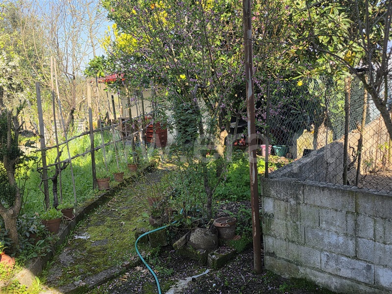 Moradia em Banda T2 / Tábua, Midões