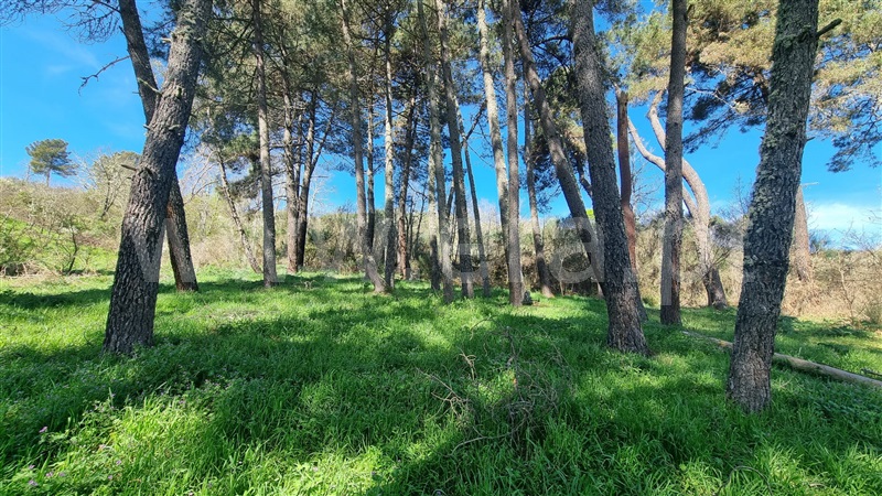 Moradia em Banda T2 Valpaços, Lebução, Fiães e Nozelos - 1398732 - 16