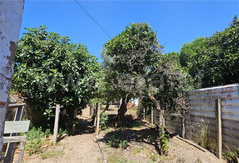 Moradia em Banda T3 Abrantes, Amoreira - 1416522 - 7