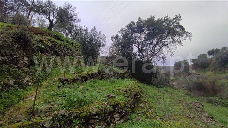 Moradia em Banda T3 Armamar, Vacalar - 1295456 - 11