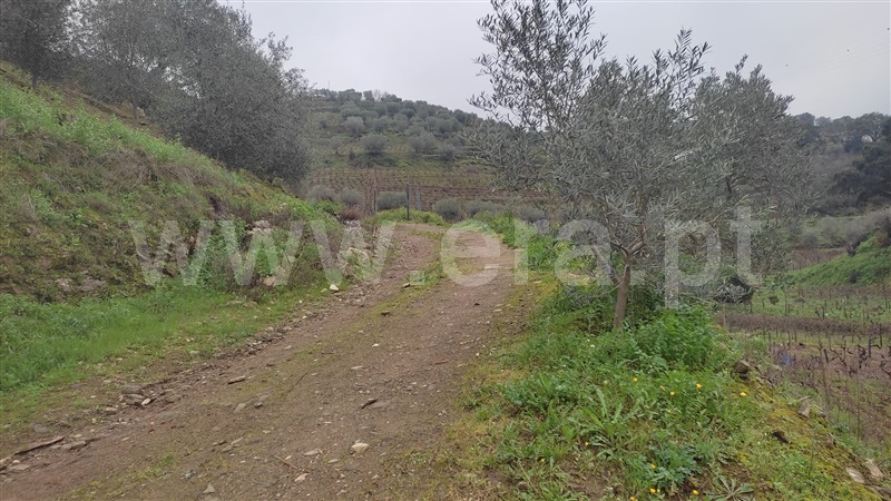 Moradia em Banda T3 Armamar, Vacalar - 1295456 - 12