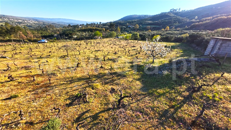 Moradia T3 à venda em Sobral Pichorro e Fuinhas, Fornos de Algodres — foto 19