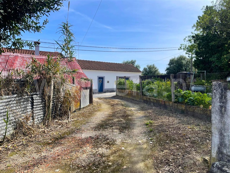 Moradia em Banda T3 Santarém, Moçarria - 1476014 - 12