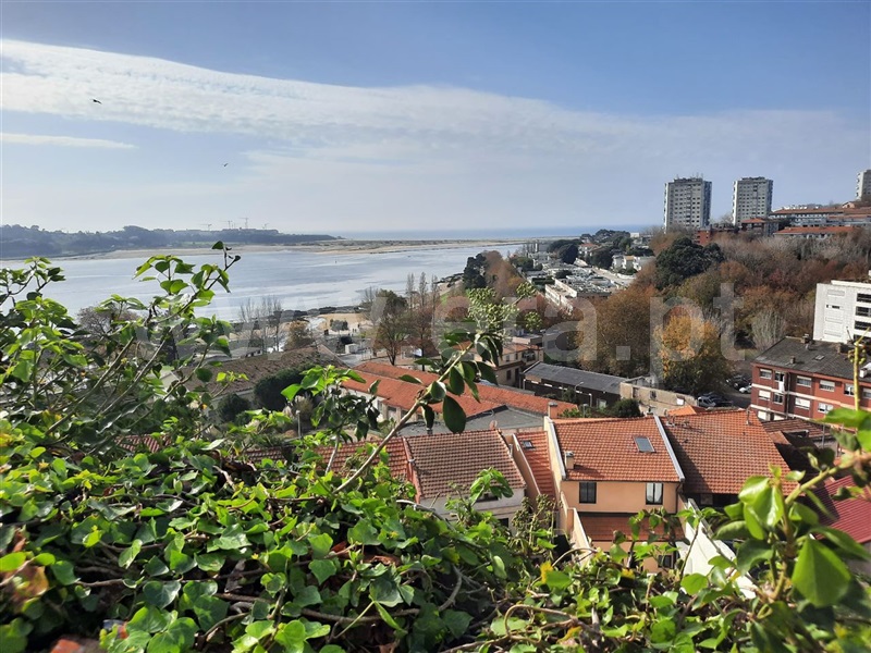 Moradia T4 à venda em Lordelo do Ouro e Massarelos, Porto — foto 12