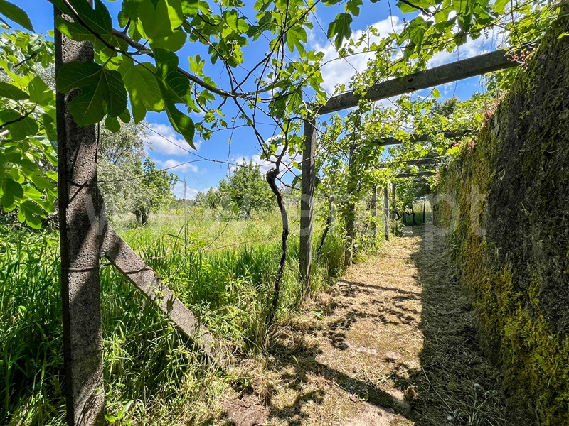 Moradia em Banda T4 Tábua, Venda da Serra - 1394284 - 19