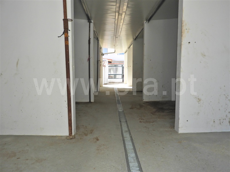 Moradia em Banda T5 Golegã - 1486617 - 13
