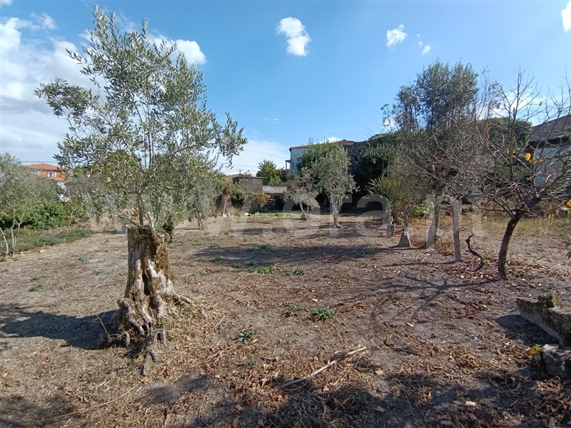 Moradia em Banda T5 Mangualde, Freixiosa - 1508832 - 16